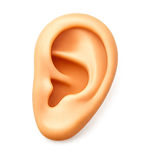 AI-assisted feedback